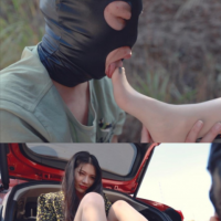 〖H.P.L栖心之栈〗—吐槽女司机的下场